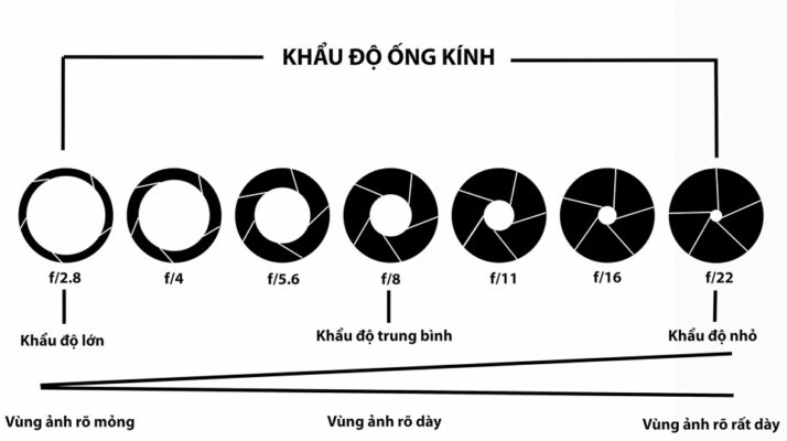 Khẩu độ 
