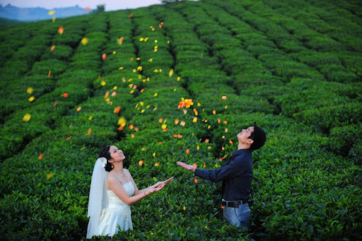 chi phí chụp ảnh cưới ở Mộc Châu 