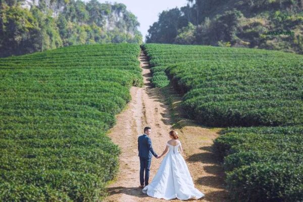 chi phí chụp ảnh cưới ở Mộc Châu 