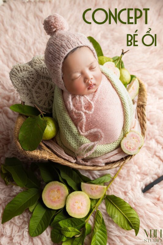 Concept Chụp Ảnh Newborn Chủ Đề Thiên Nhiên