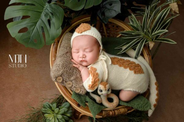 Ảnh new born cho bé siêu xinh