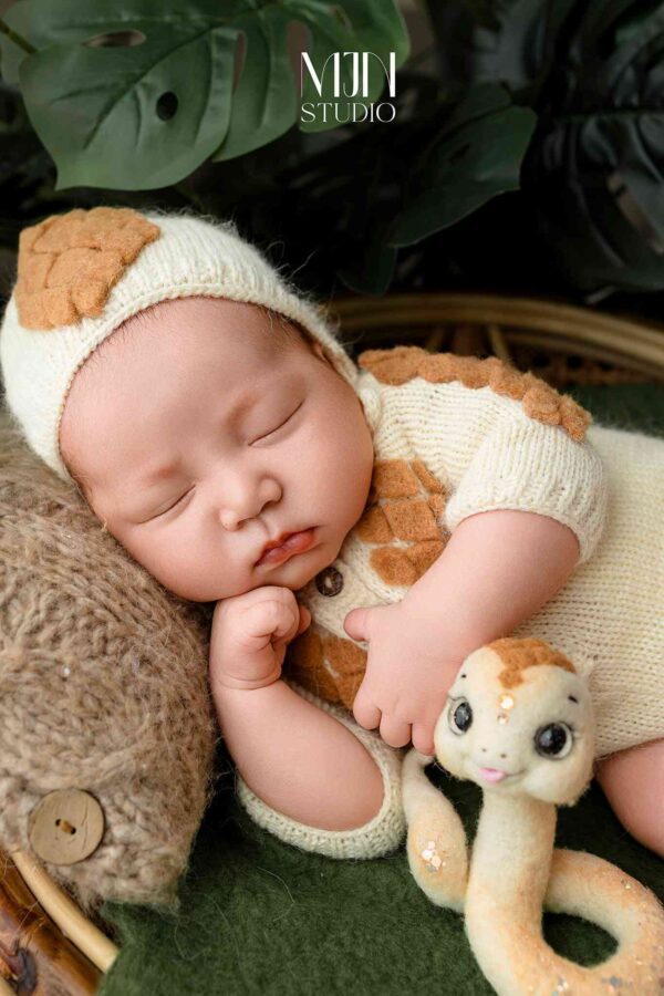 Ảnh new born cho bé concept rắn