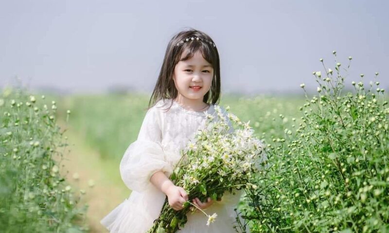 goi chup anh voi cuc hoa mi