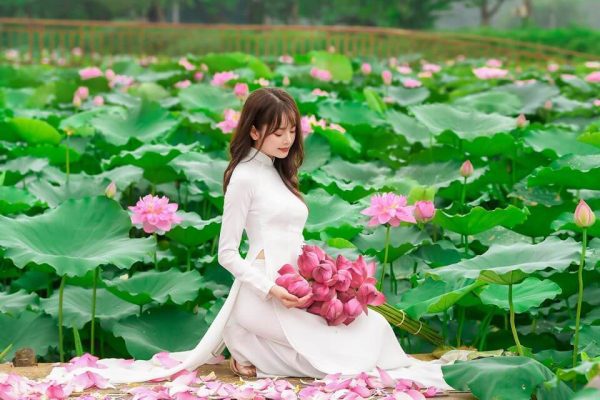 4. Hoa Sen – Quốc hoa thanh cao và thuần khiết (4) 4. Hoa Sen – Quốc hoa thanh cao và thuần khiết