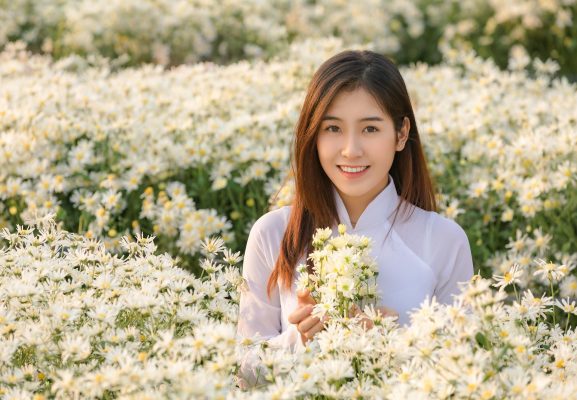 3. Cúc Họa Mi – Nét dịu dàng của ký ức (3) 3. Cúc Họa Mi – Nét dịu dàng của ký ức